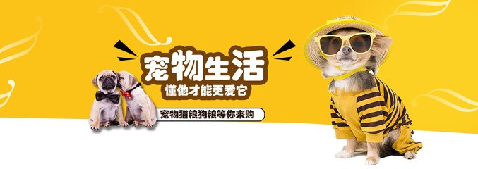 2025正版资料官网入口